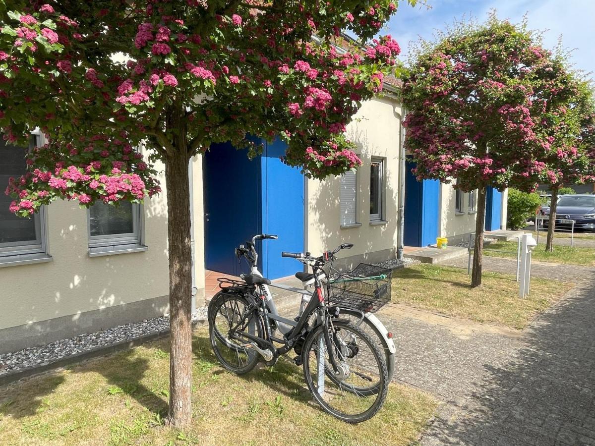 Ferienwohnung Seeterrassen Dewichow Exteriör bild